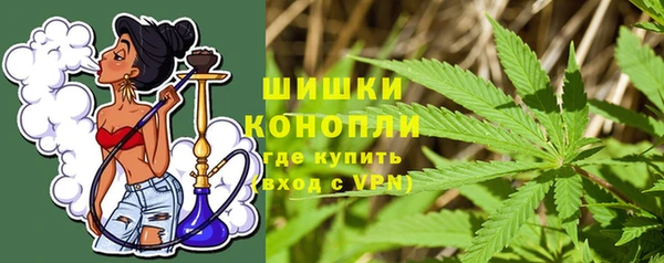 ПСИЛОЦИБИНОВЫЕ ГРИБЫ Медногорск