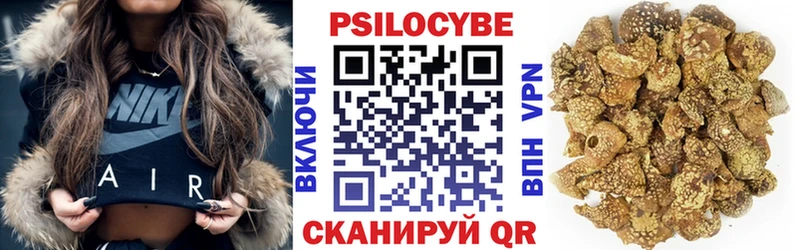 Купить закладки  Шацк  Псилоцибиновые грибы Magic Shrooms 
